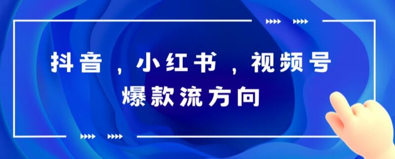 抖音，小红书，视频号爆款流视频制作，简单制作掌握流量密码|52搬砖-我爱搬砖网