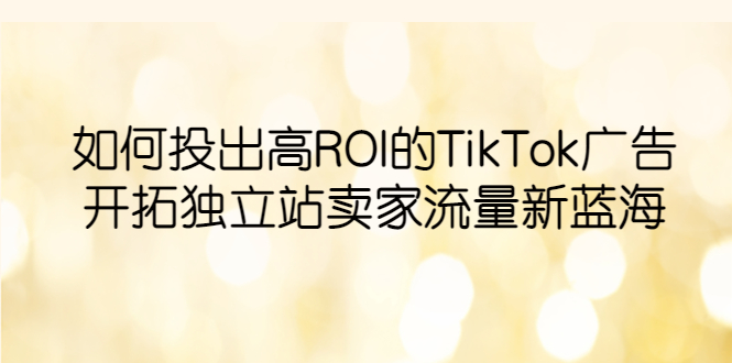 如何投出高ROI·TikTok广告，开拓独立站卖家流量新蓝海|52搬砖-我爱搬砖网