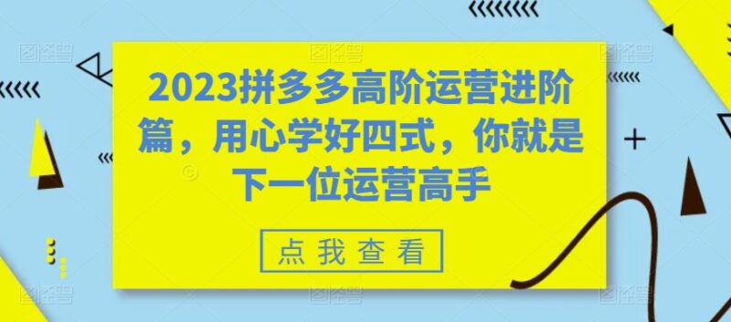 2023拼多多高阶运营进阶篇,用心学好四式,你就是下一位运营高手|52搬砖-我爱搬砖网