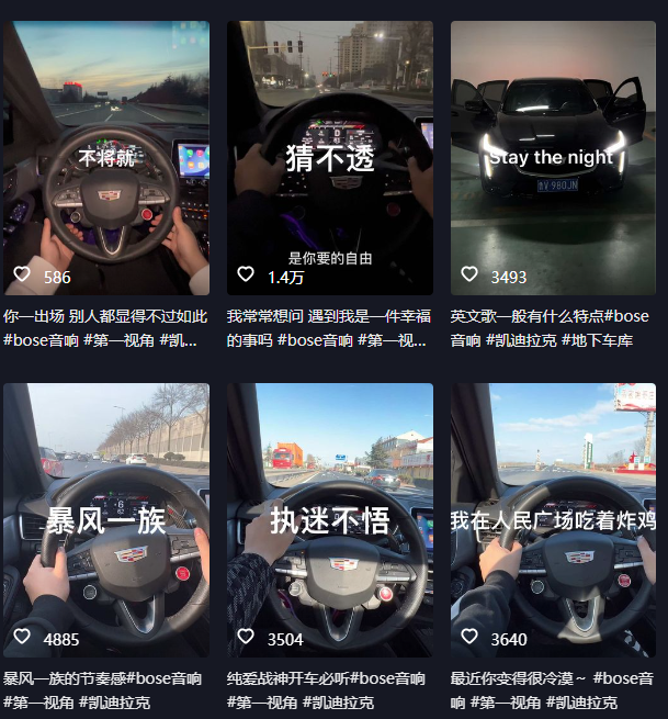 图片[2]|抖音开车视频项目，0基础操作，每天五分钟，月入1W+|52搬砖-我爱搬砖网