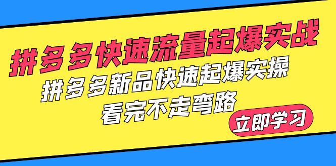 拼多多-快速流量起爆实战，拼多多新品快速起爆实操，看完不走弯路|52搬砖-我爱搬砖网