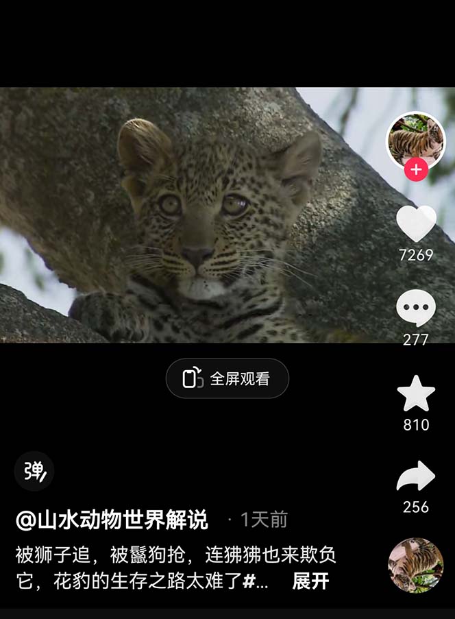 图片[3]|外面卖1699的国外纪录片解说稳过中视频|52搬砖-我爱搬砖网