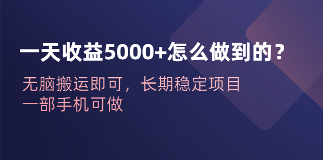 一天收益5000+怎么做到的？无脑搬运即可，长期稳定项目，一部手机可做|52搬砖-我爱搬砖网