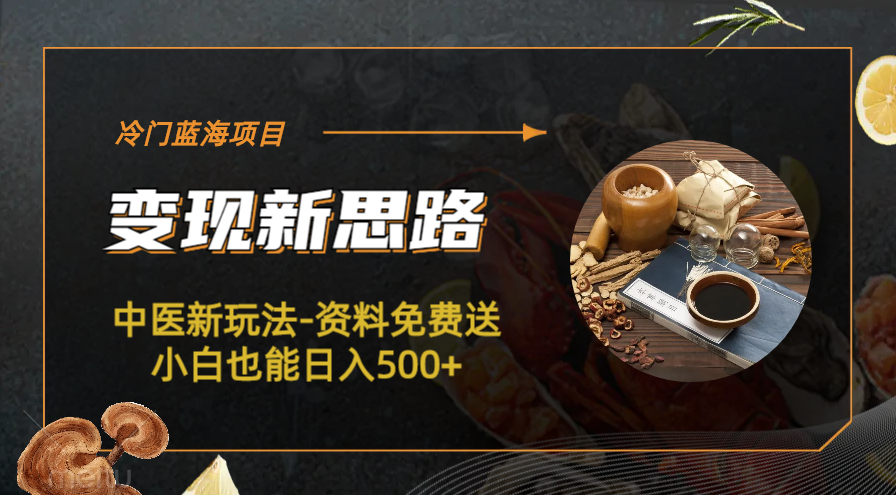 冷门蓝海项目-中医新玩法-资料免费送小白也能日入500+|52搬砖-我爱搬砖网