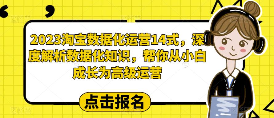 2023淘宝数据化-运营 14式，深度解析数据化知识，帮你从小白成长为高级运营|52搬砖-我爱搬砖网