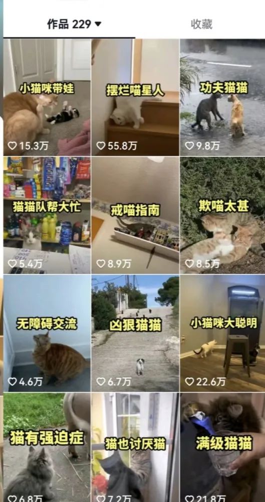 图片[3]|拆解：抖音盘点类中视频变现副业项目，视频版一条龙大解析分享给你|52搬砖-我爱搬砖网