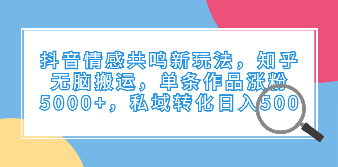 抖音情感共鸣新玩法，知乎无脑搬运，单条作品涨粉5000+，私域转化日入500|52搬砖-我爱搬砖网