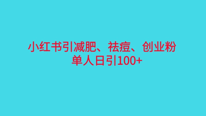 小红书精准引流,减肥、祛痘、创业粉单人日引100+|52搬砖-我爱搬砖网