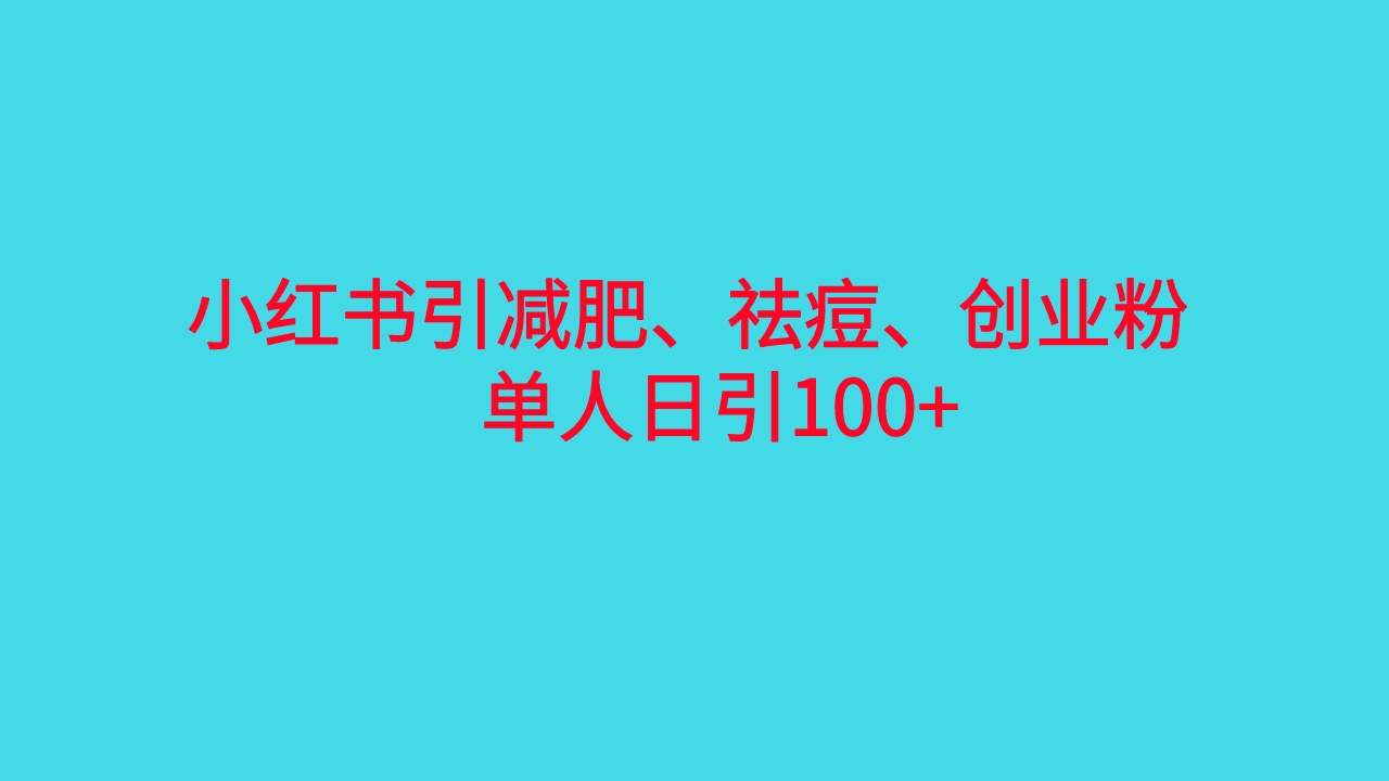 小红书精准引流，减肥、祛痘、创业粉单人日引100+|52搬砖-我爱搬砖网