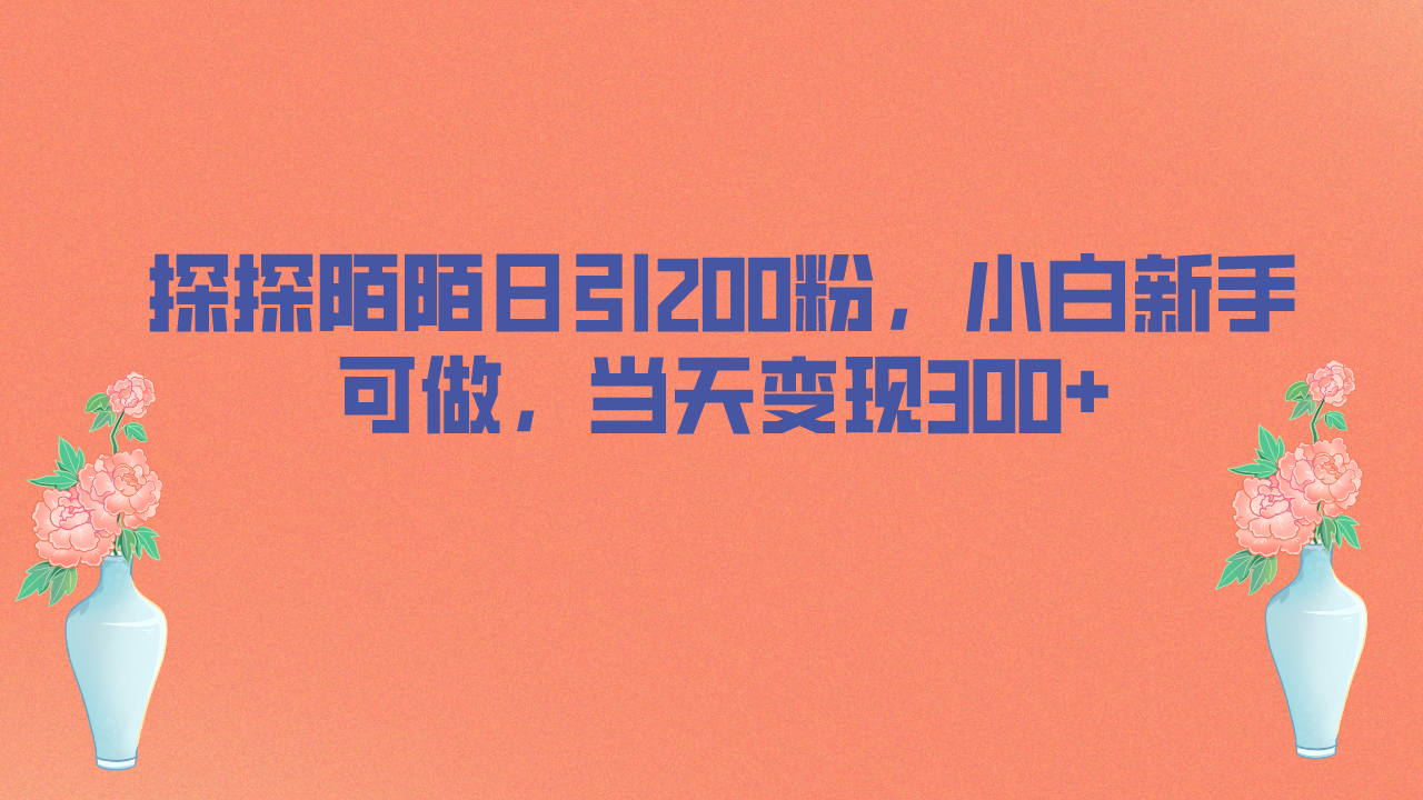 探探陌陌日引200粉，小白新手可做，当天就能变现300+|52搬砖-我爱搬砖网