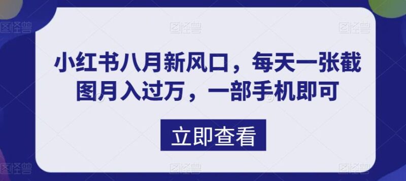 八月新风口，小红书虚拟项目一天收入1000+，实战揭秘|52搬砖-我爱搬砖网