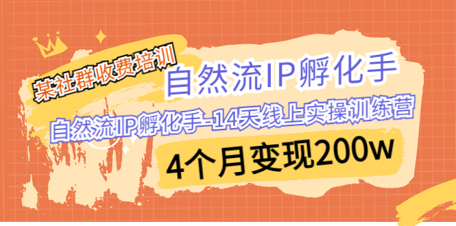 某社群收费培训：自然流IP 孵化手-14天线上实操训练营 4个月变现200w|52搬砖-我爱搬砖网