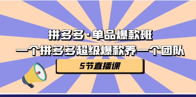 拼多多·单品爆款班，一个拼多多超级爆款养一个团队|52搬砖-我爱搬砖网