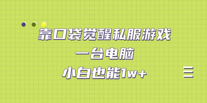 靠口袋觉醒私服游戏，一台电脑，小白也能1w+|52搬砖-我爱搬砖网