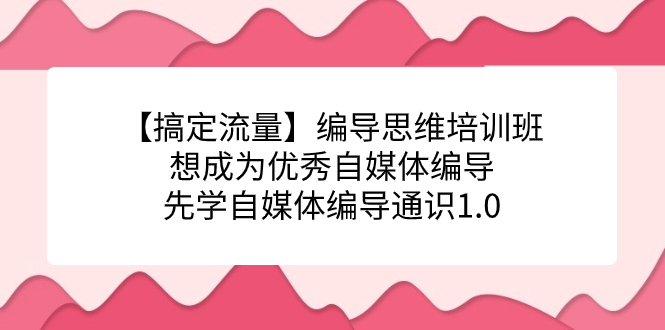 【搞定流量】编导思维培训班，想成为优秀自媒体编导先学自媒体编导通识1.0|52搬砖-我爱搬砖网