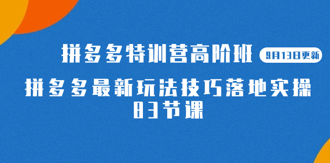 2023拼多多·特训营高阶班【9月13日更新】拼多多最新玩法技巧落地实操-83节|52搬砖-我爱搬砖网