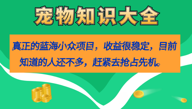真正的蓝海小众项目，宠物知识大全，收益很稳定|52搬砖-我爱搬砖网