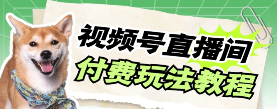 视频号美女付费无人直播，轻松日入500+【详细玩法教程】|52搬砖-我爱搬砖网