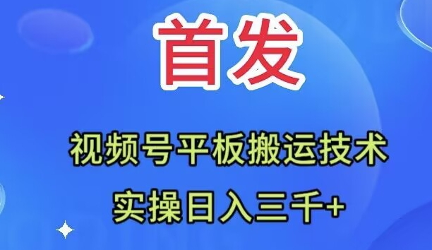 全网首发：视频号平板搬运技术，实操日入三千＋|52搬砖-我爱搬砖网