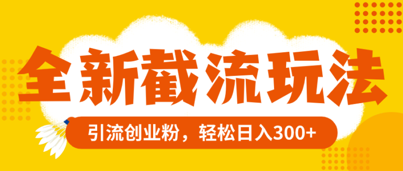 全新截流玩法,精准引流创业粉,轻松日入300+|52搬砖-我爱搬砖网