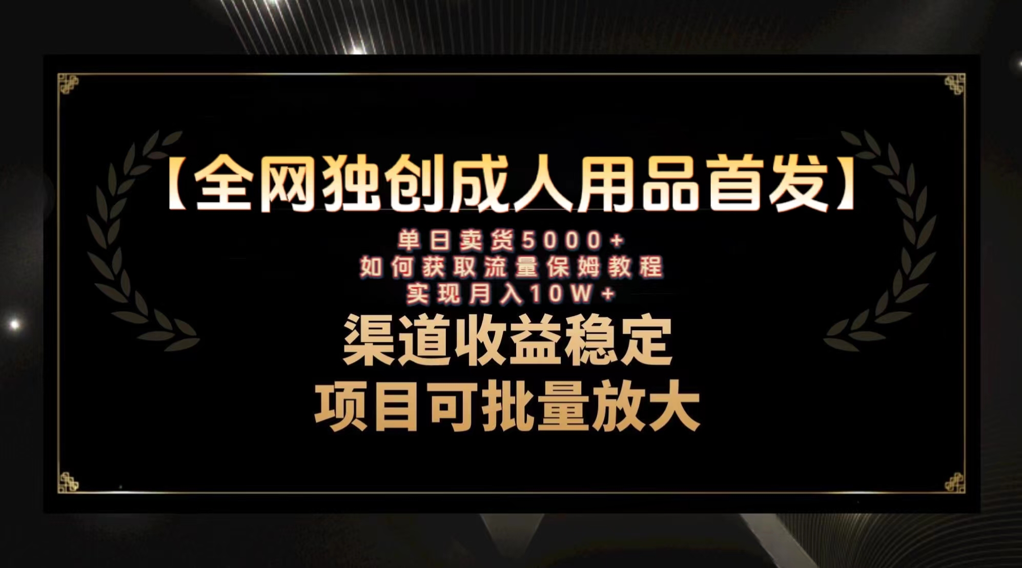 最新全网独创首发，成人用品赛道引流获客，月入10w保姆级教程|52搬砖-我爱搬砖网