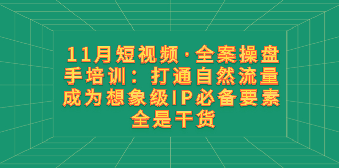 11月短视频·全案操盘手培训：打通自然流量 成为想象级IP必备要素 全是干货|52搬砖-我爱搬砖网