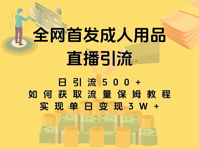 最新全网独创首发，成人用品直播引流获客暴力玩法，单日变现3w保姆级教程|52搬砖-我爱搬砖网