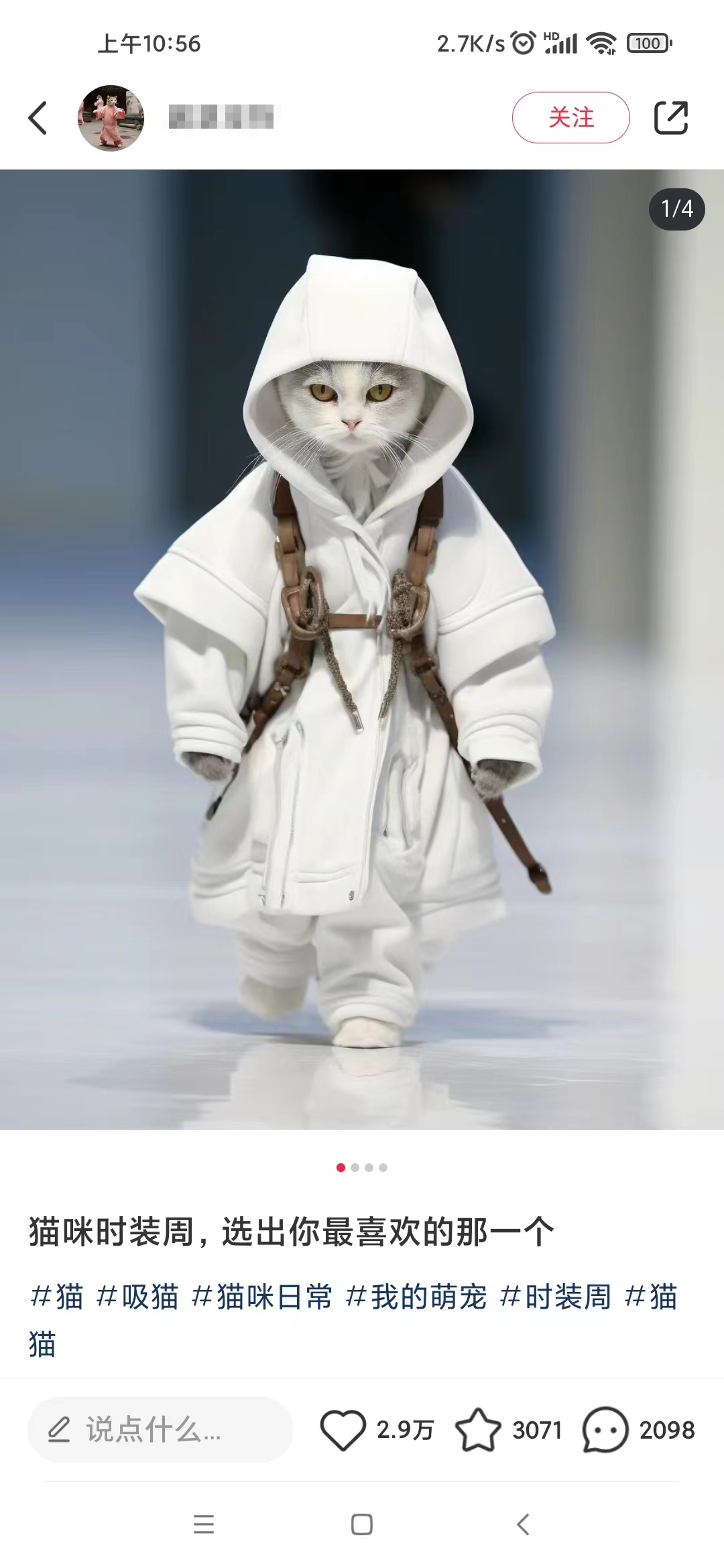 图片[2]|小红书最新爆款项目，Animal秀，7天变现1w+|52搬砖-我爱搬砖网