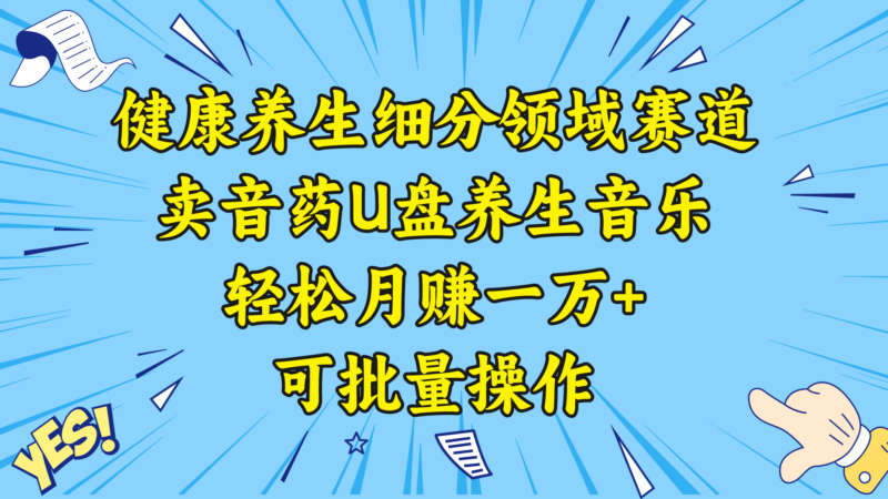 健康养生细分领域赛道,卖音药U盘养生音乐,轻松月赚一万+,可批量操作|52搬砖-我爱搬砖网