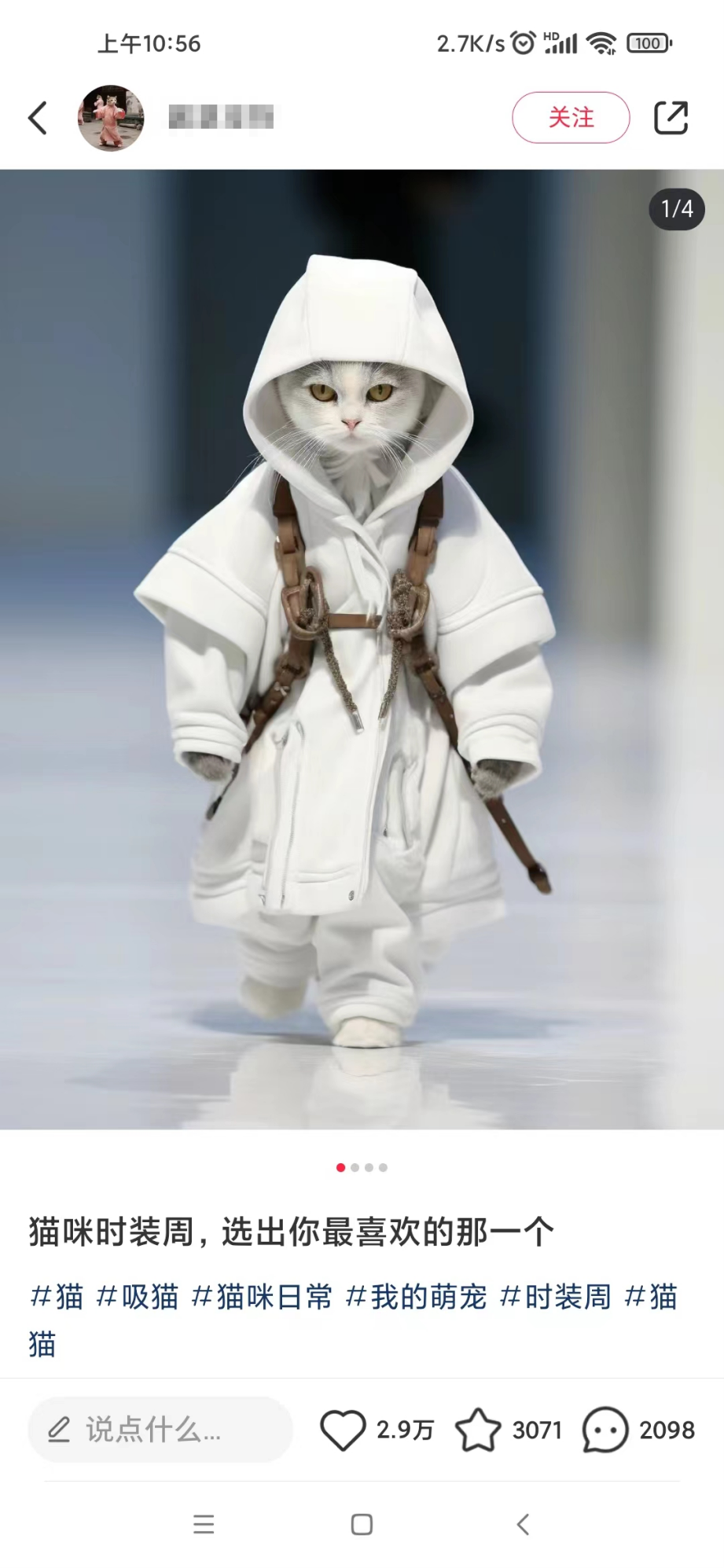 图片[2]|适合小白 宝妈 上班族 大学生互联网兼职 小红书爆款项目Animal秀，月入1W|52搬砖-我爱搬砖网