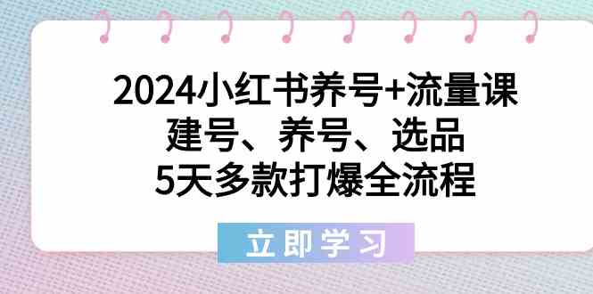 2024小红书养号+流量课：建号、养号、选品，5天多款打爆全流程|52搬砖-我爱搬砖网