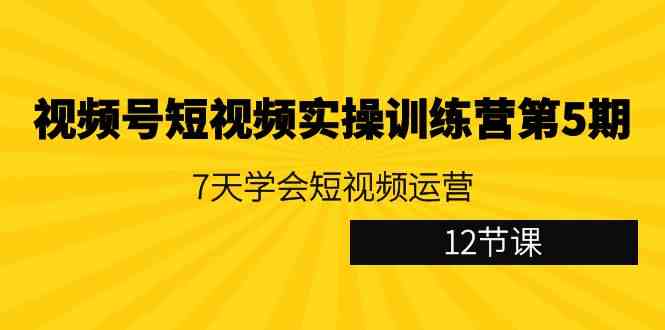 视频号短视频实操训练营第5期：7天学会短视频运营|52搬砖-我爱搬砖网