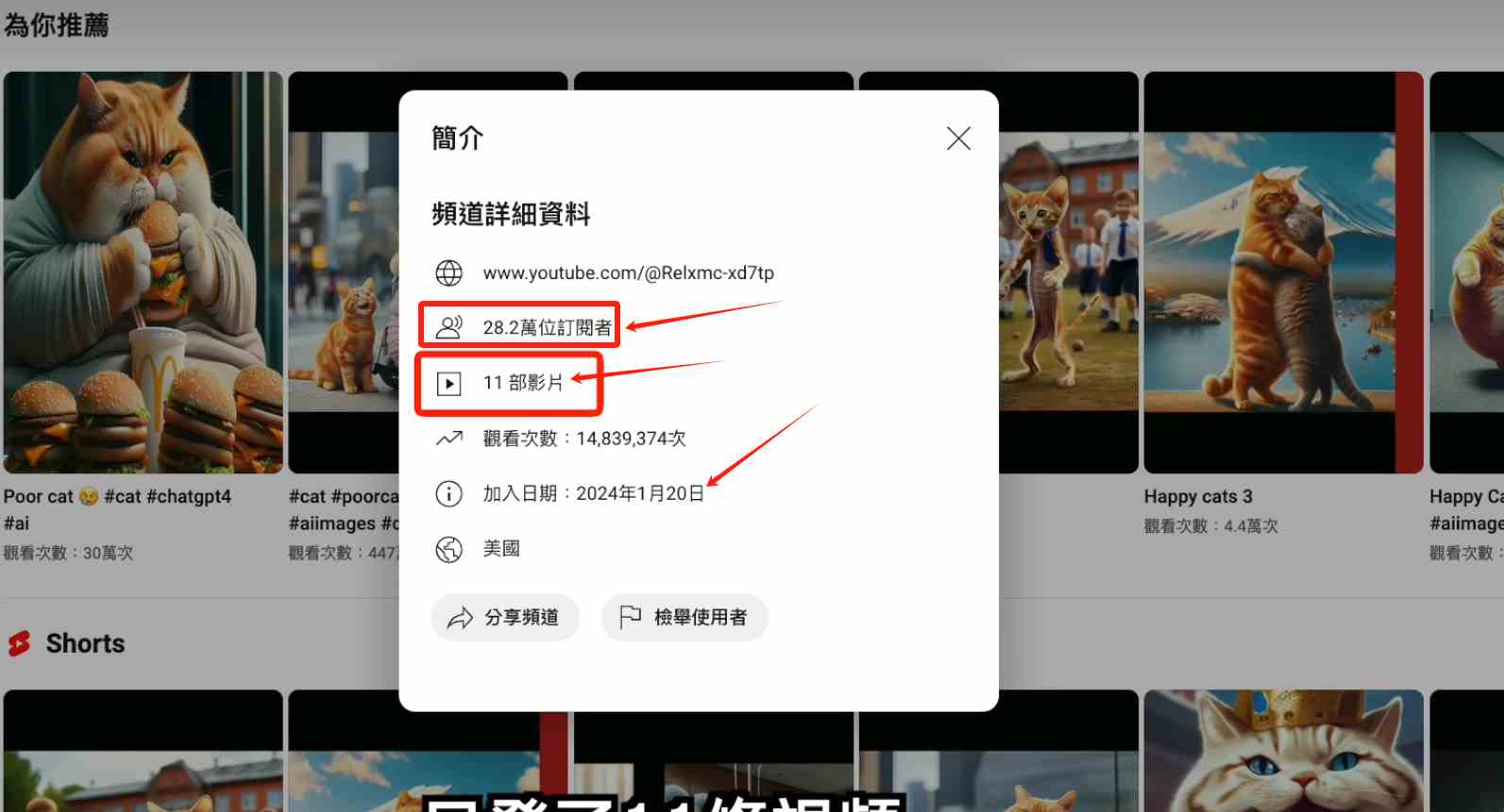 图片[2]|AI貓咪剧情号，30天涨粉100w，制作简单，一个视频全网分发，轻松月入1W+|52搬砖-我爱搬砖网