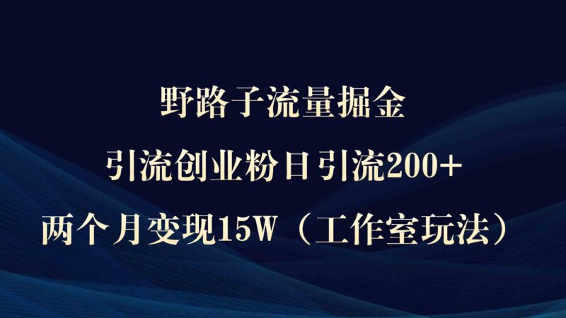 野路子流量掘金,引流创业粉日引流200+,两个月变现15W)|52搬砖-我爱搬砖网