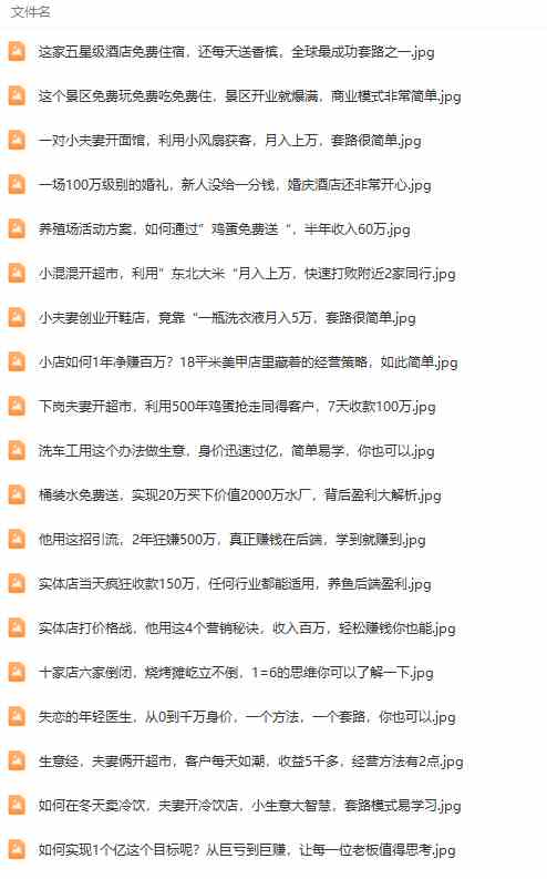 图片[4]|真实有效391套商业模式，年入几十到几百万案例解析|52搬砖-我爱搬砖网