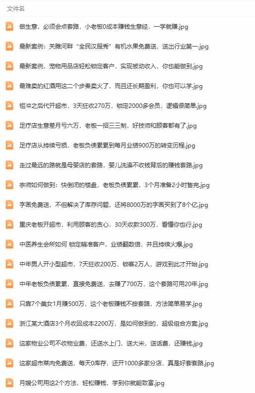 图片[5]|真实有效391套商业模式，年入几十到几百万案例解析|52搬砖-我爱搬砖网