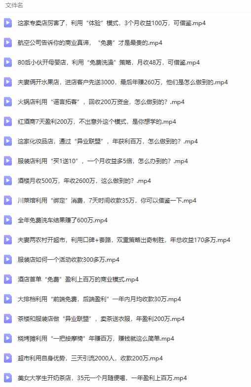 图片[8]|真实有效391套商业模式，年入几十到几百万案例解析|52搬砖-我爱搬砖网