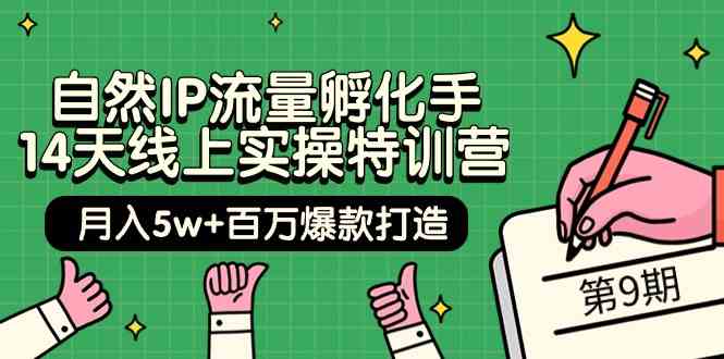 自然IP流量孵化手 14天线上实操特训营【第9期】月入5w+百万爆款打造 (74节)|52搬砖-我爱搬砖网