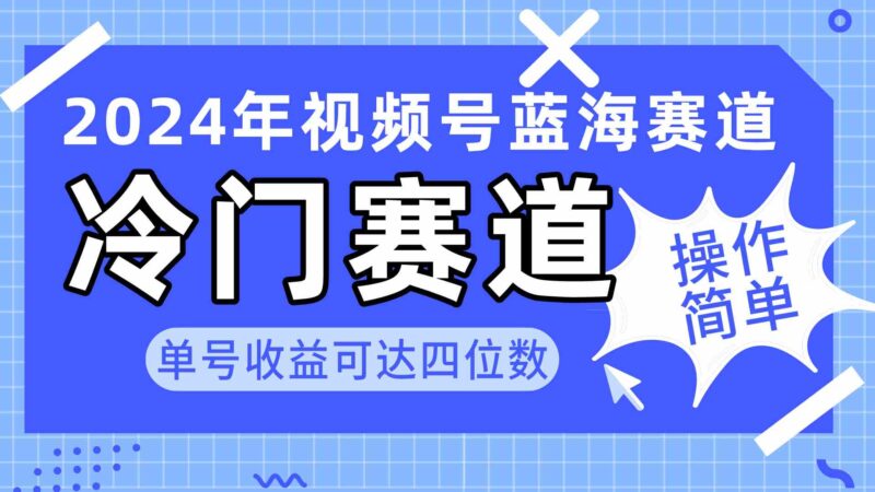 2024视频号冷门蓝海赛道，操作简单 单号收益可达四位数|52搬砖-我爱搬砖网