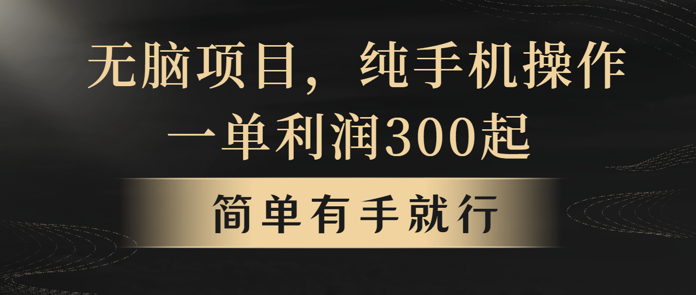 无脑项目，一单几百块，轻松月入5w+，看完就能直接操作|52搬砖-我爱搬砖网