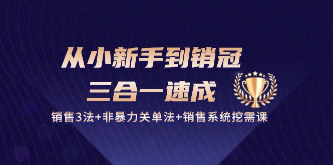 从小新手到销冠 三合一速成：销售3法+非暴力关单法+销售系统挖需课 (27节)|52搬砖-我爱搬砖网