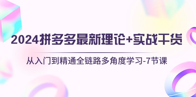 2024拼多多 最新理论+实战干货，从入门到精通全链路多角度学习-7节课|52搬砖-我爱搬砖网