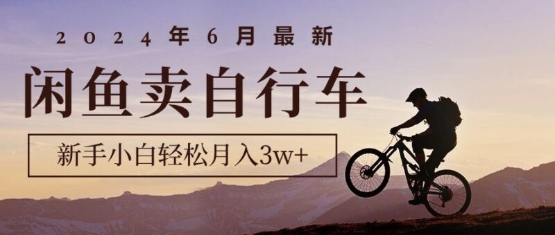 2024年6月最新闲鱼卖自行车,新手小白轻松月入3w+项目|52搬砖-我爱搬砖网