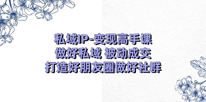 私域IP-变现高手课：做好私域 被动成交，打造好朋友圈做好社群|52搬砖-我爱搬砖网