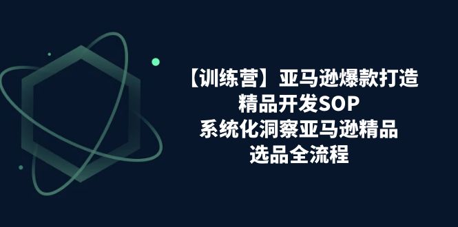 【训练营】亚马逊爆款打造之精品开发SOP，系统化洞察亚马逊精品选品全流程|52搬砖-我爱搬砖网