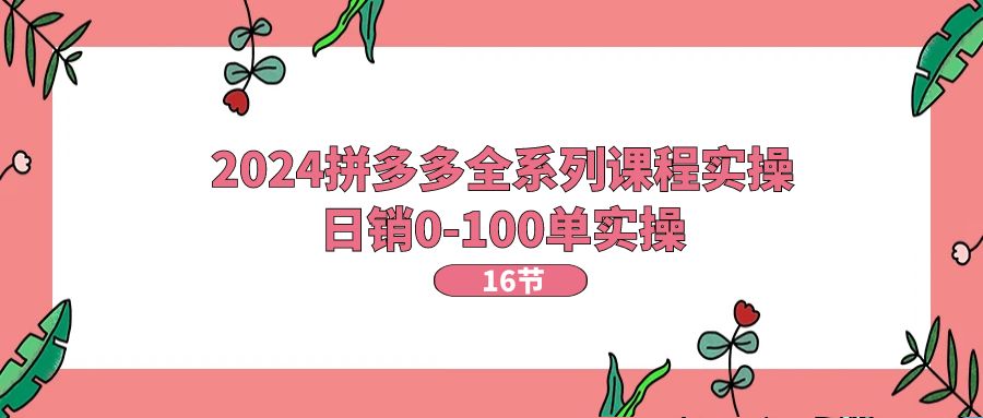 2024拼多多全系列课程实操，日销0-100单实操【16节课】|52搬砖-我爱搬砖网