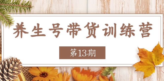 养生号-带货训练营【第13期】收益更稳定的玩法，让你带货收益爆炸|52搬砖-我爱搬砖网