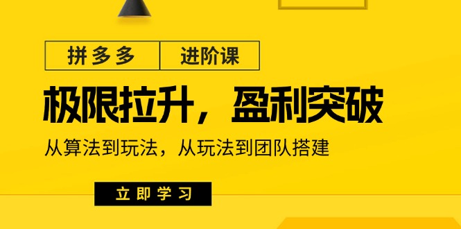 拼多多·进阶课：极限拉升/盈利突破：从算法到玩法 从玩法到团队搭建-18节|52搬砖-我爱搬砖网