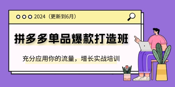 2024拼多多-单品爆款打造班(更新6月)，充分应用你的流量，增长实战培训|52搬砖-我爱搬砖网