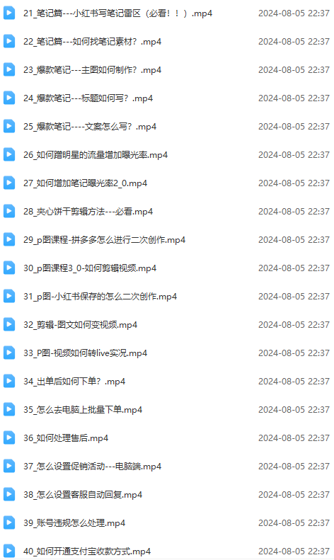 图片[3]|2024小红书电商实战课：全体系打造 全方位梳理 小红书电商逻辑体系 (42节)|52搬砖-我爱搬砖网